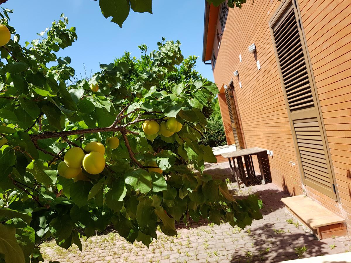 Villa "Green Paradise" Дивьяка Экстерьер фото