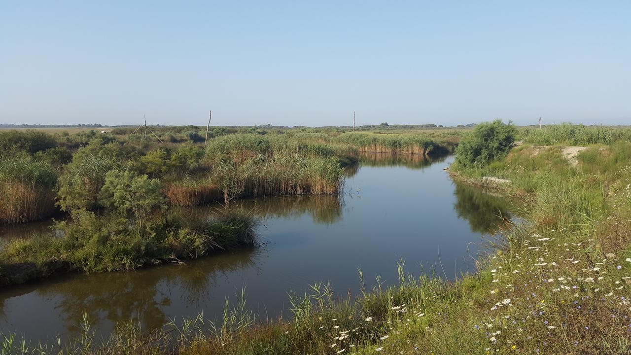 Villa "Green Paradise" Дивьяка Экстерьер фото